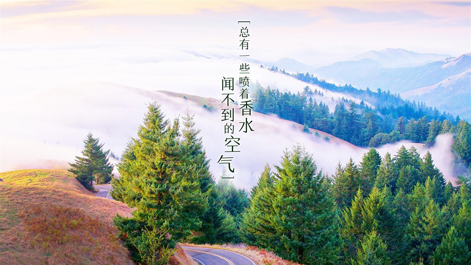 德甲青训加速度，未来之星跃跃欲试，德甲青训排名
