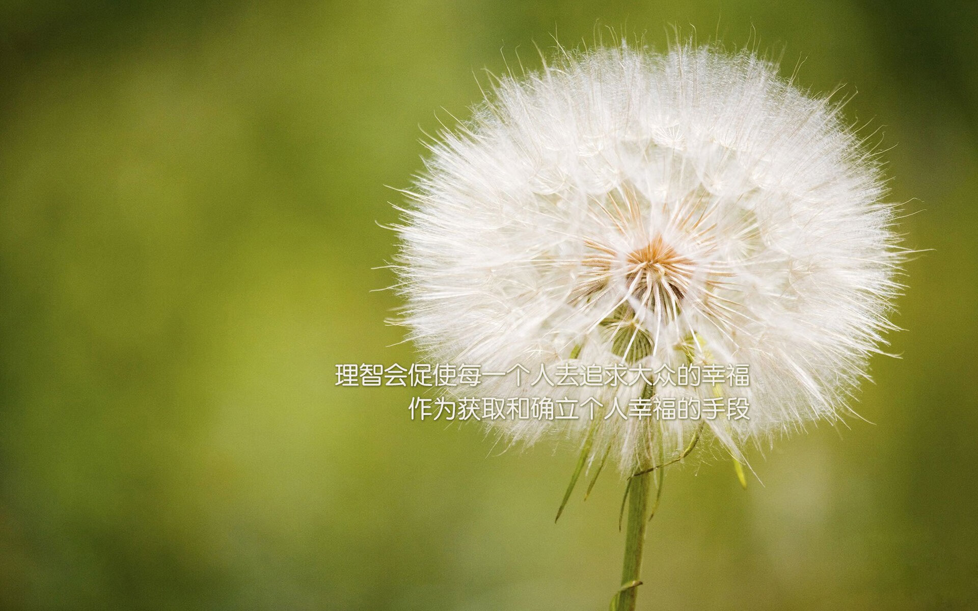 特色海上划艇巡演，水域中的速度与优雅，海上 皮划艇