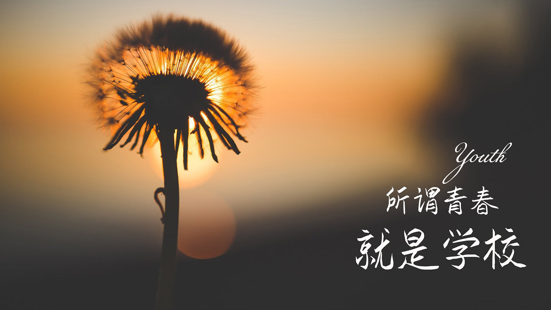 乐鱼体育平台官网-助教雪中送炭解决困局，球队前景一片明朗，送课助教