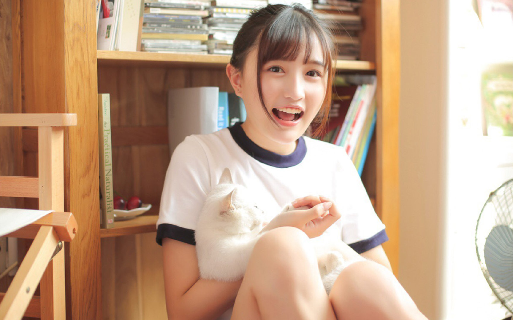 布莱顿进攻端火力全开，海鸥军团欲再创佳绩，布莱顿引援