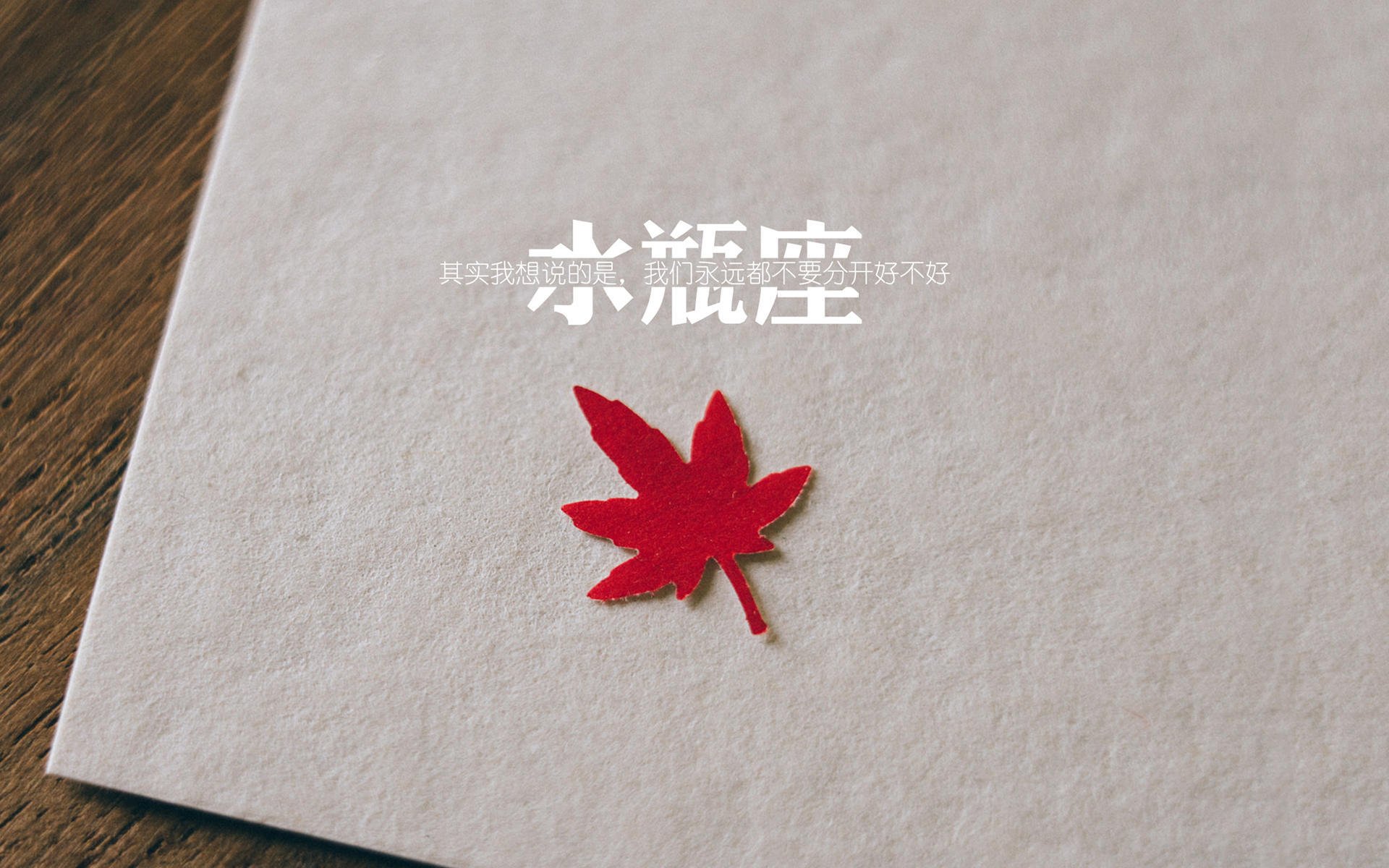 中国女泳队勇夺多金领跑积分榜，中国女子游泳国家队