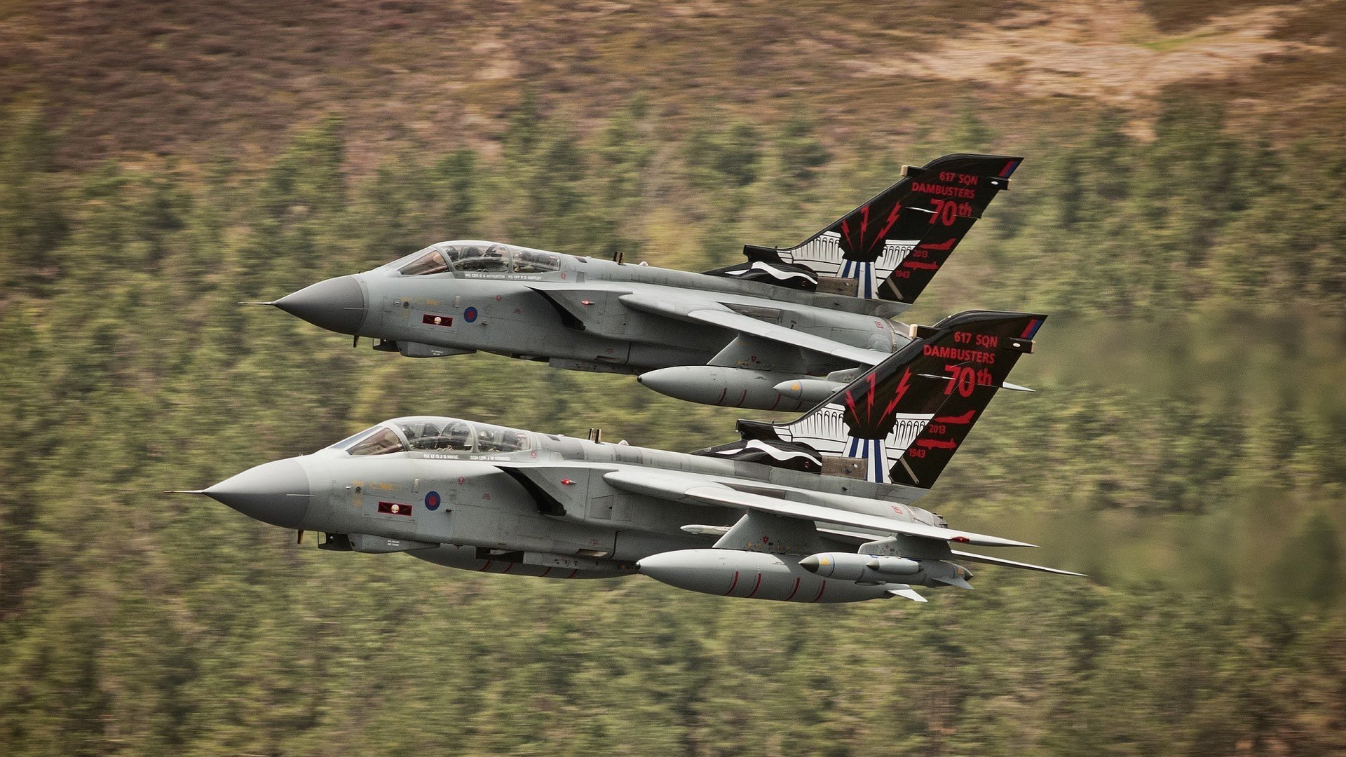 乐鱼体育登录-杨瀚森技术细节不断精进提升比赛效率，杨翰笙个人介绍