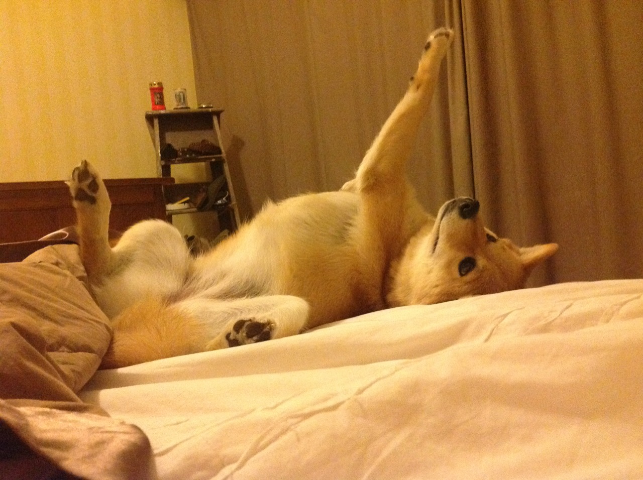 高校体育科技创新成果展引关注，学校体育创新项目