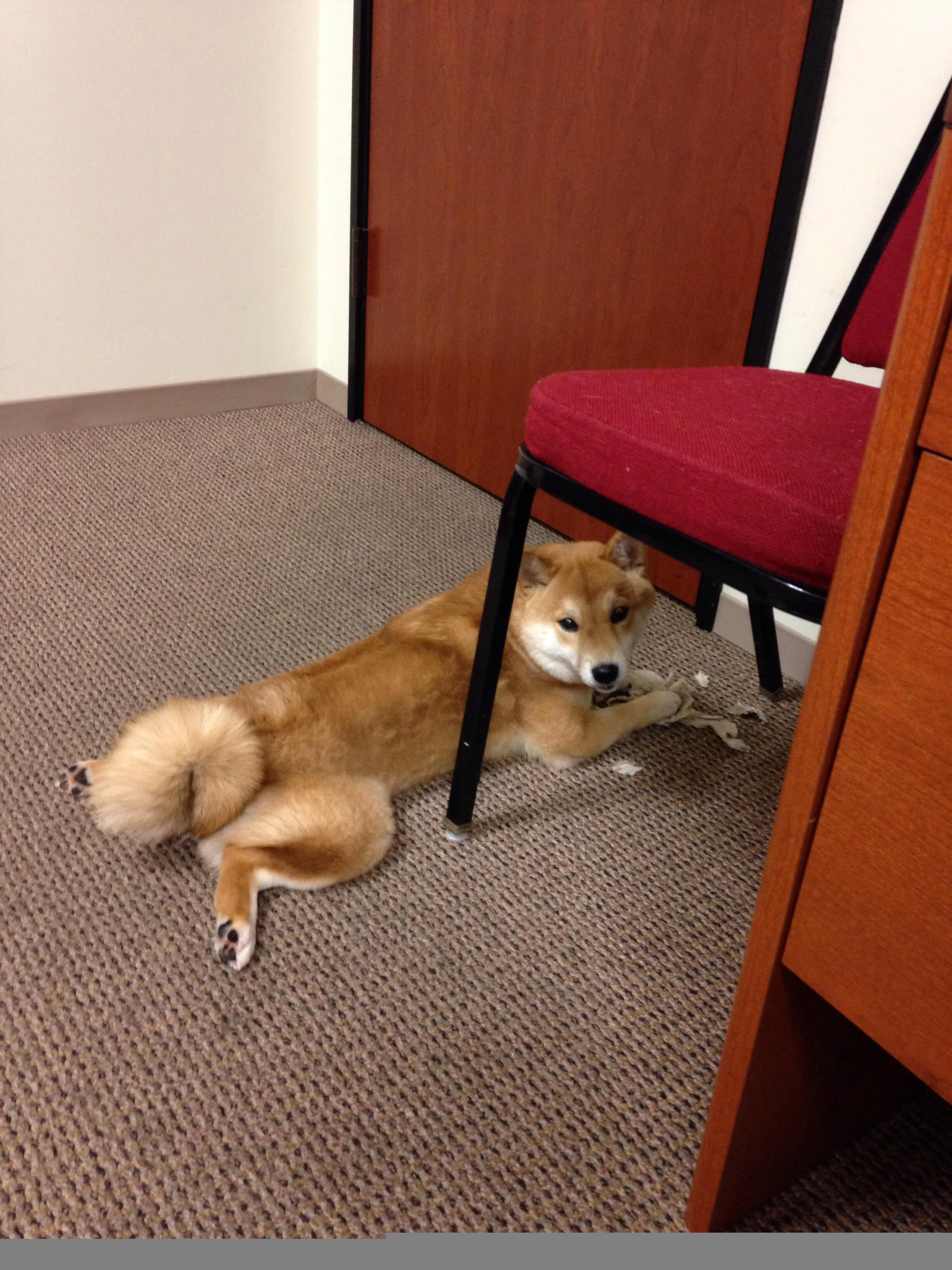 LeyuSports-全黑队的快速推进和精准进攻令人防不胜防，全黑通关