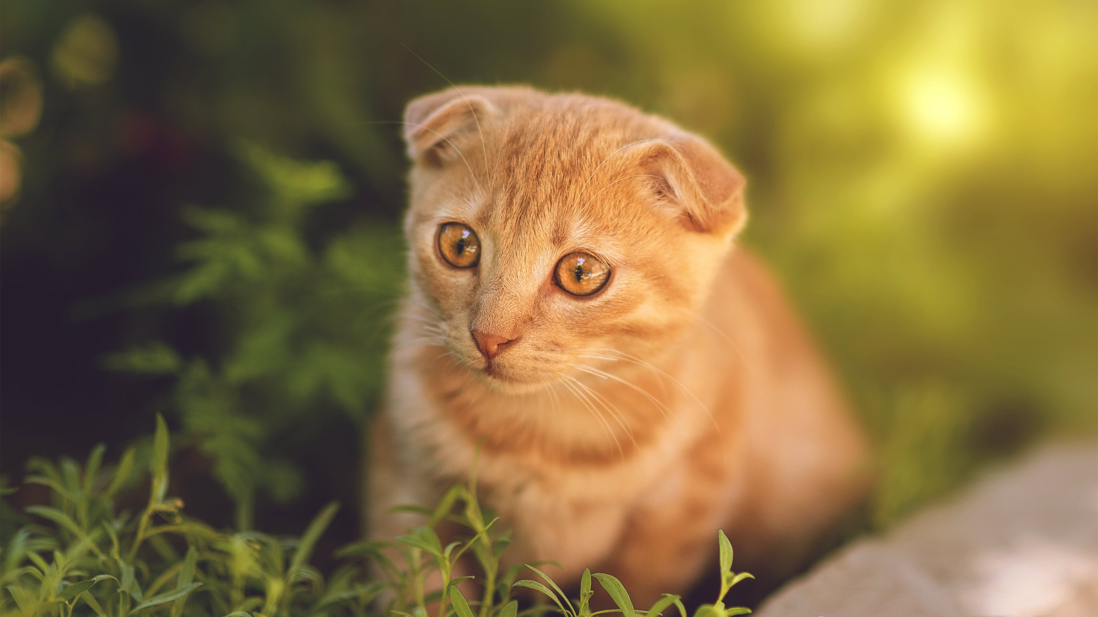 国家队模拟实战演练提升关键时刻心态管理能力,国家队摸底