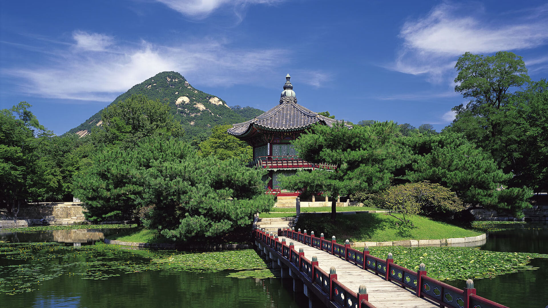 德甲策略多变:战术升级,引领新高潮!,德甲前瞻