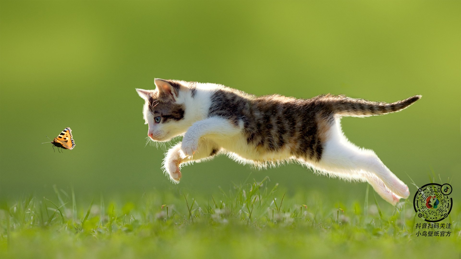 数字化青少年足球培训体系实现多维度评估与个性化指导，全国青少年足球示范课教案