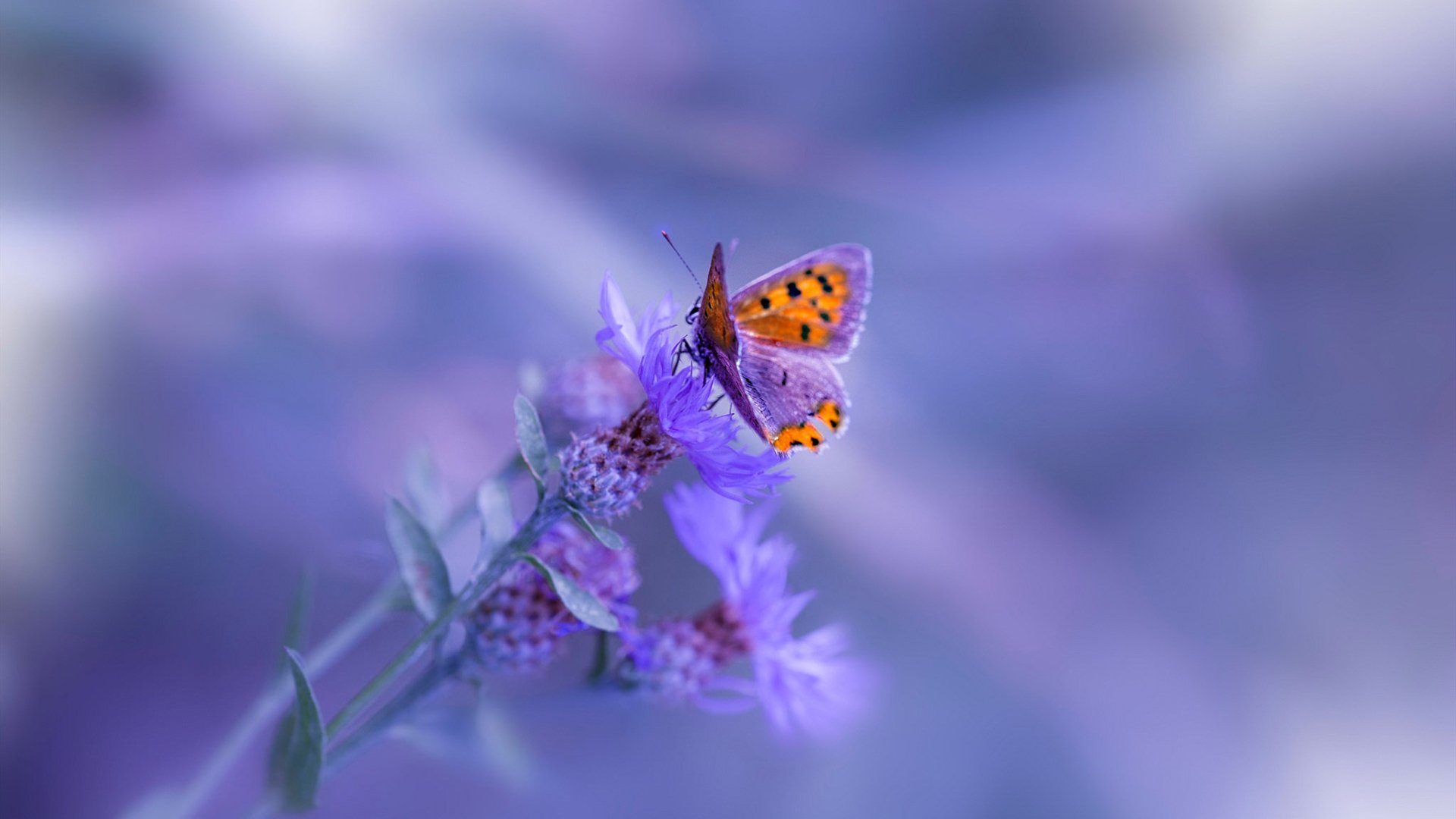 田径训练营注重运动康复与心理调节,田径训练的意义