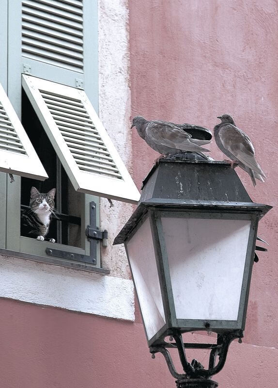 青训中心发布每月成长报告加强过程管理精度