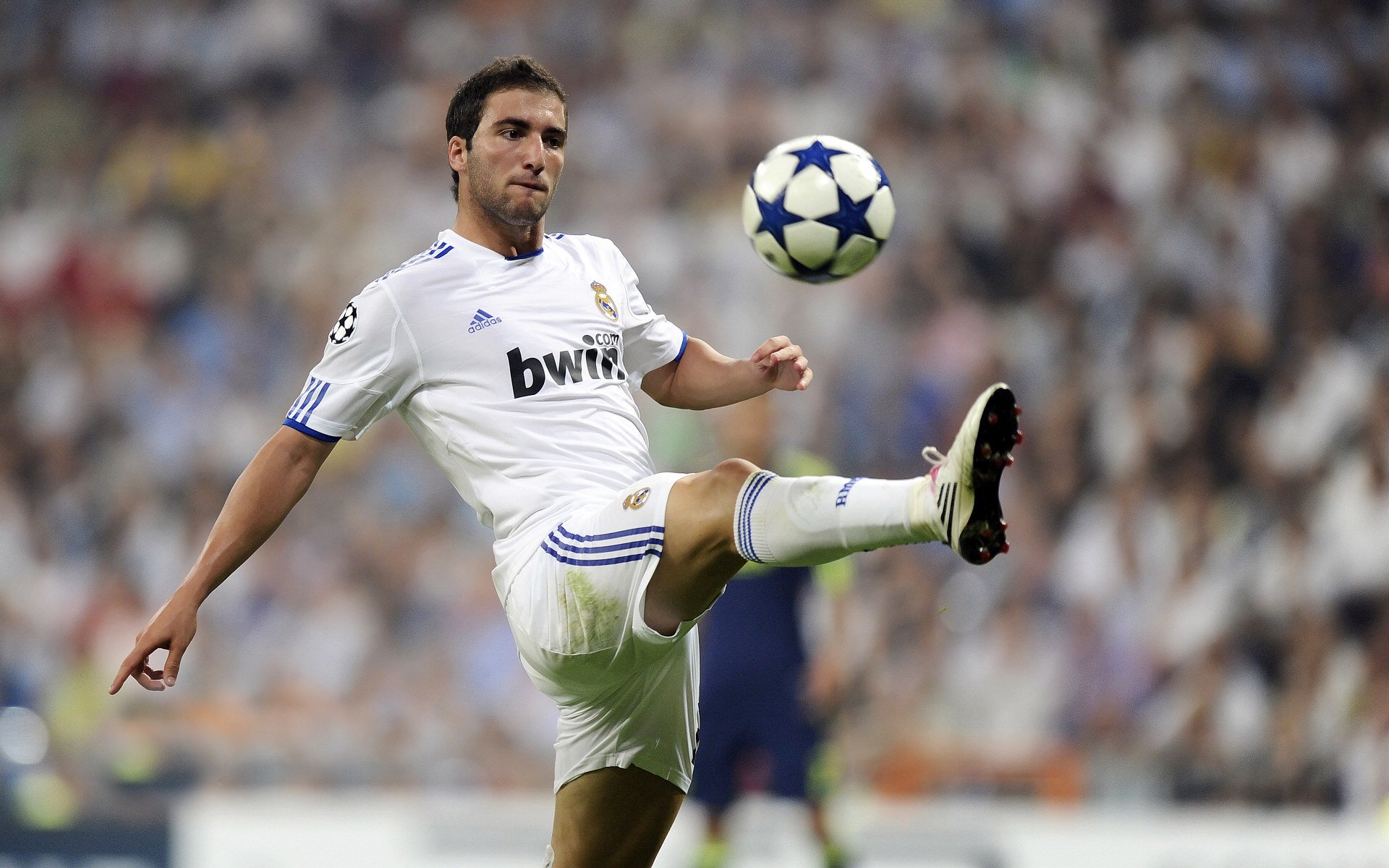 安切洛蒂续约皇马，继续带队，安切洛蒂续约皇马,继续带队的是谁